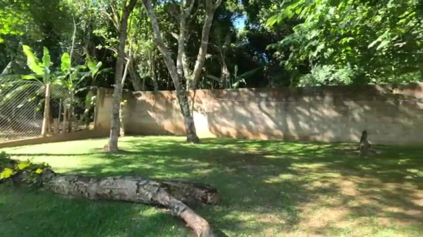 Casa de Condomínio à venda com 2 quartos, 2000m² - Foto 17