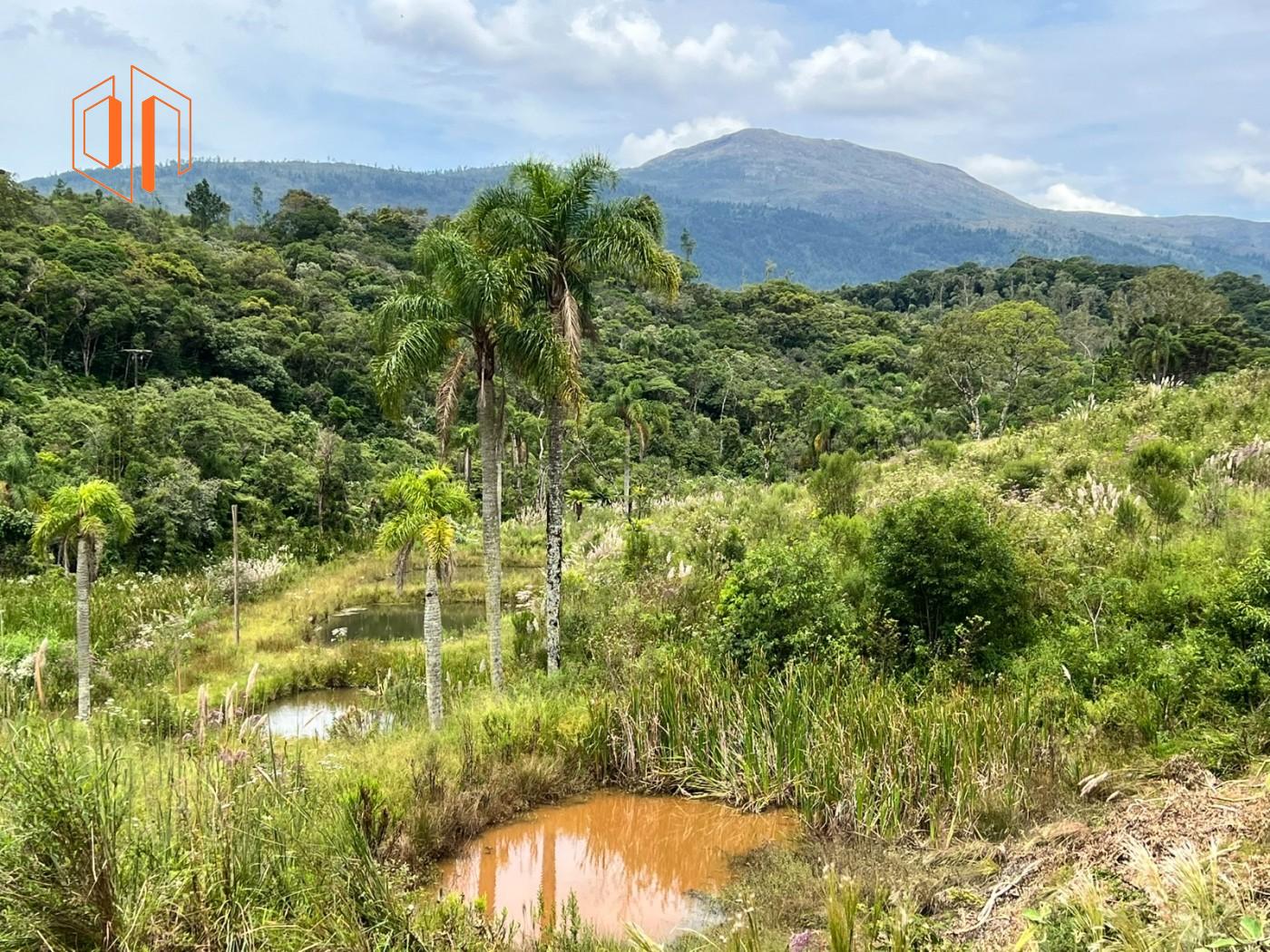 Chácara à venda, 3m² - Foto 4