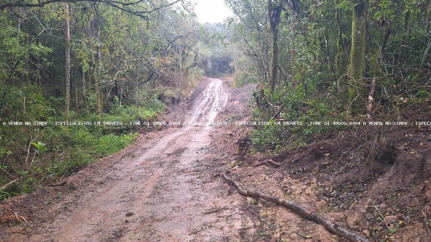 Fazenda à venda com 2 quartos, 141000m² - Foto 14