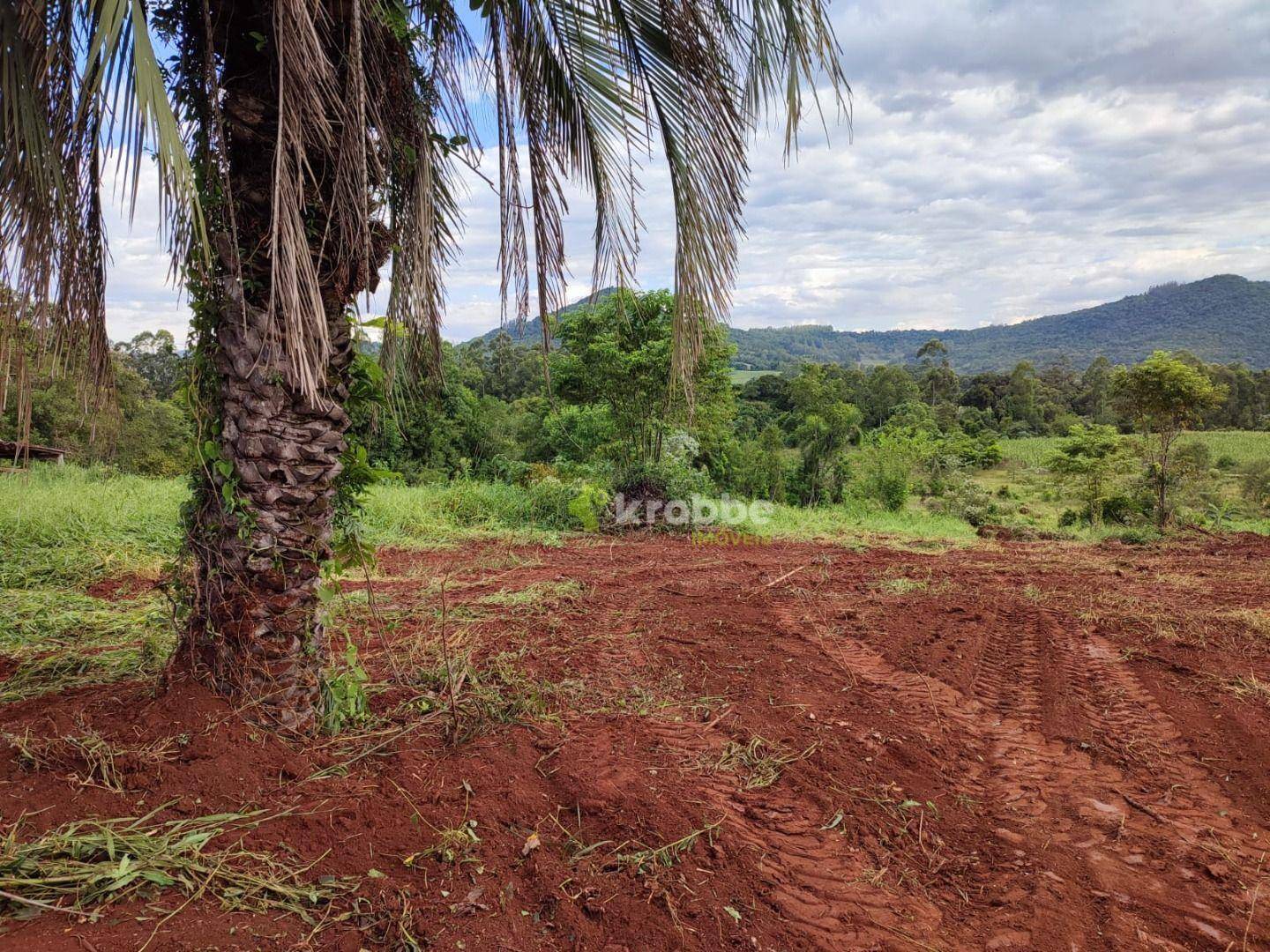 Terreno à venda, 17000M2 - Foto 11