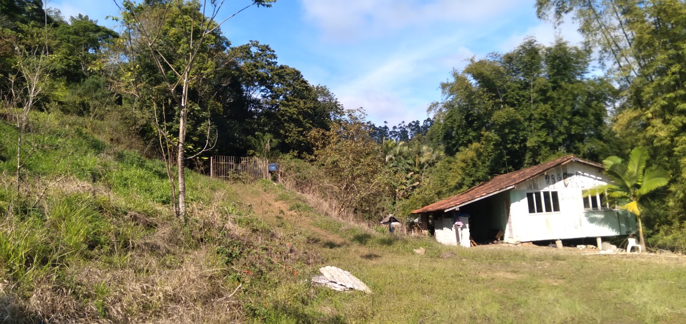 Chácara, 6 hectares - Foto 5