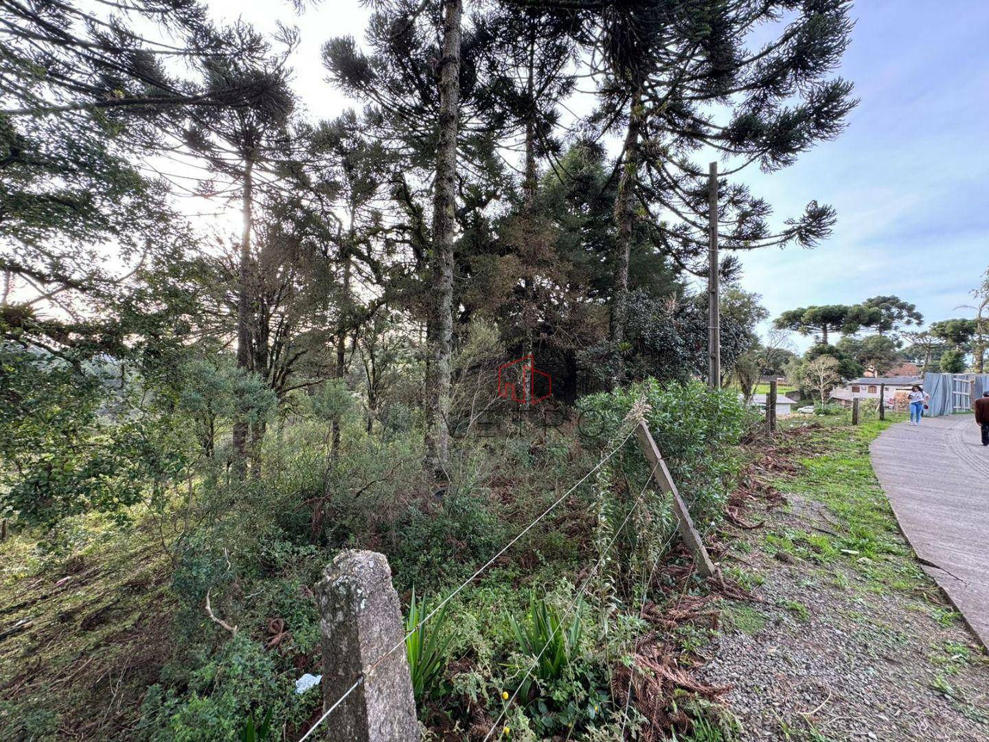 Terreno à venda, 4825M2 - Foto 8