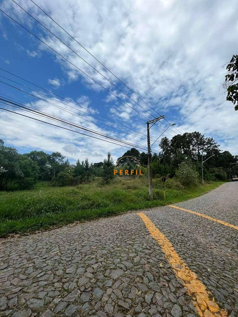 Terreno, 4973 m² - Foto 8