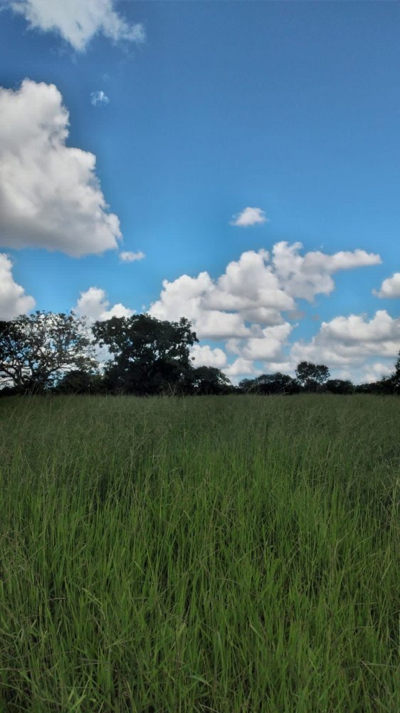 Fazenda à venda, 300m² - Foto 2