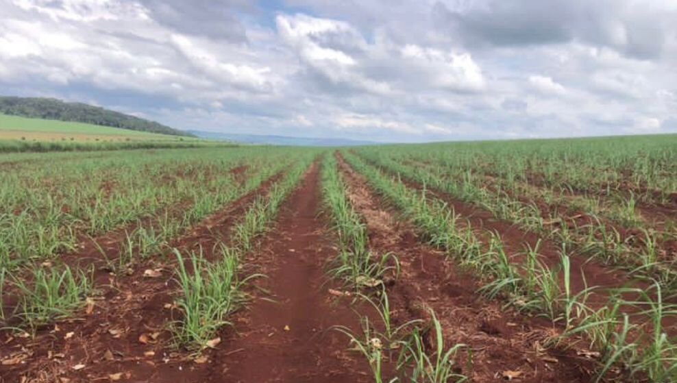 Fazenda-Sítio-Chácara, 1872 hectares - Foto 1