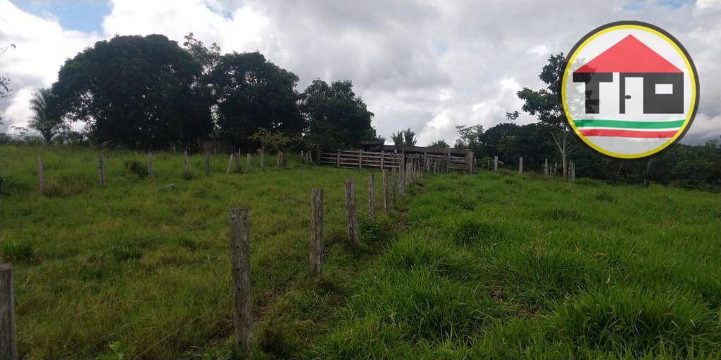 Fazenda, 145 hectares - Foto 16