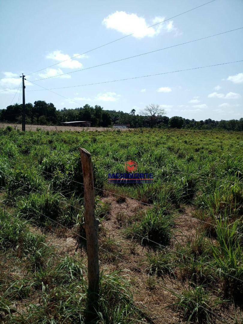 Fazenda à venda com 1 quarto, 2000000M2 - Foto 6