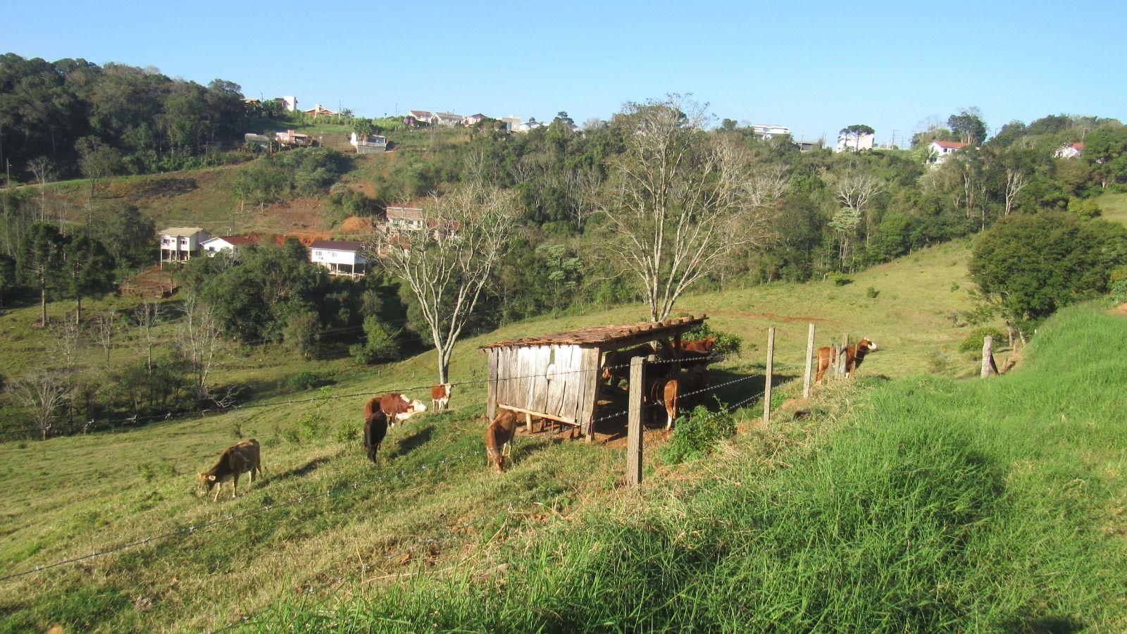 Terreno à venda, 20000m² - Foto 10