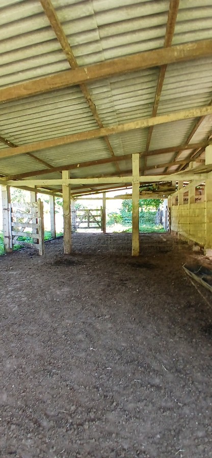 Fazenda à venda com 4 quartos, 257m² - Foto 19
