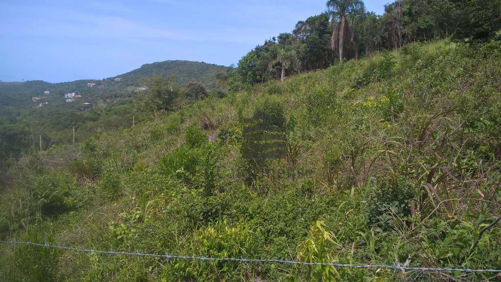 Terreno à venda, 1542M2 - Foto 8