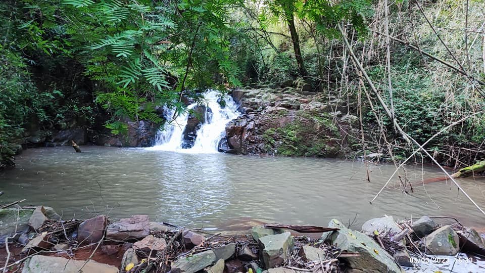 Fazenda à venda com 3 quartos, 17000m² - Foto 5