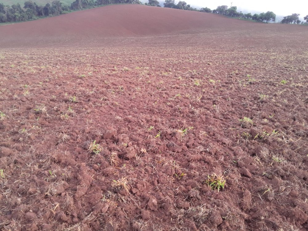 Fazenda, 178 hectares - Foto 31