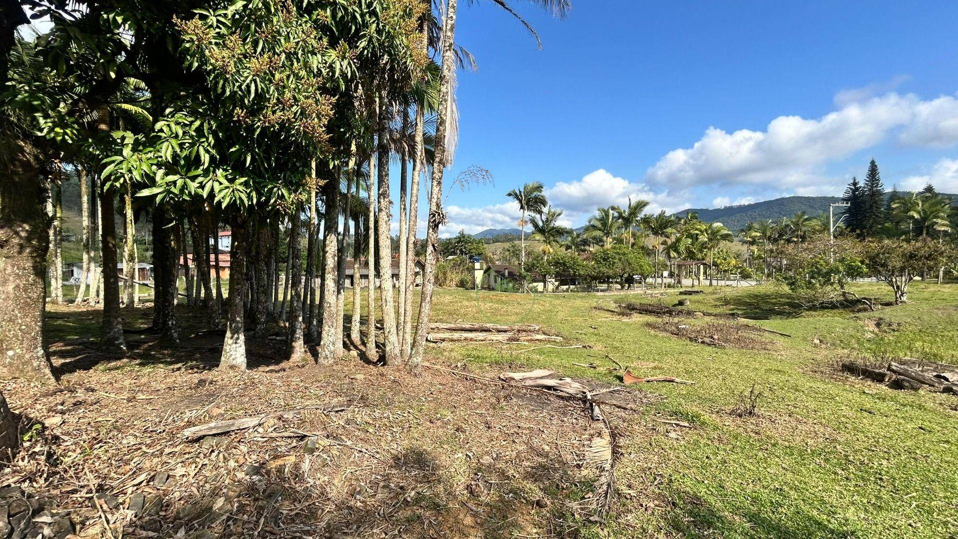 Sítio, 10000 m² - Foto 13