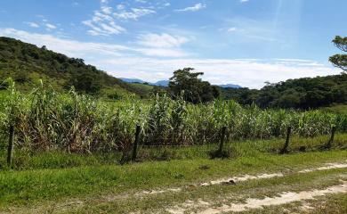 Sítio à venda com 2 quartos, 210000m² - Foto 7