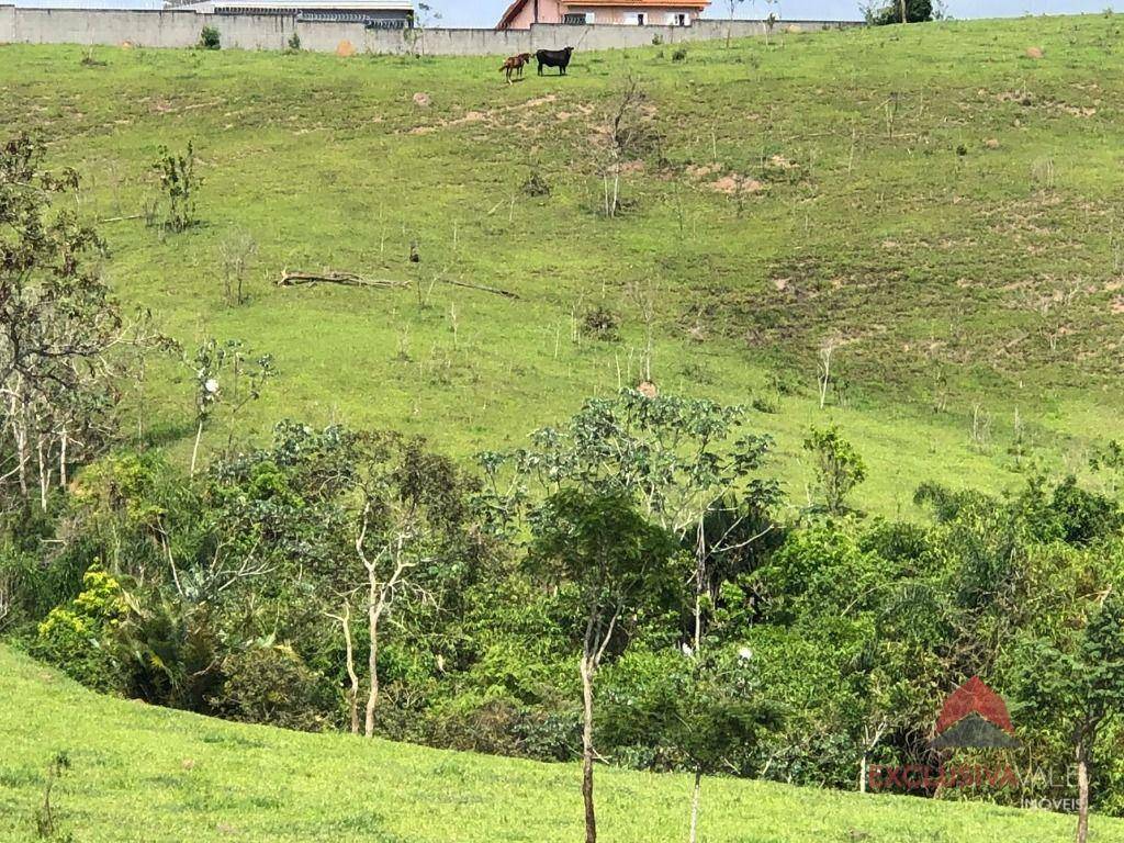 Terreno à venda, 101200M2 - Foto 2