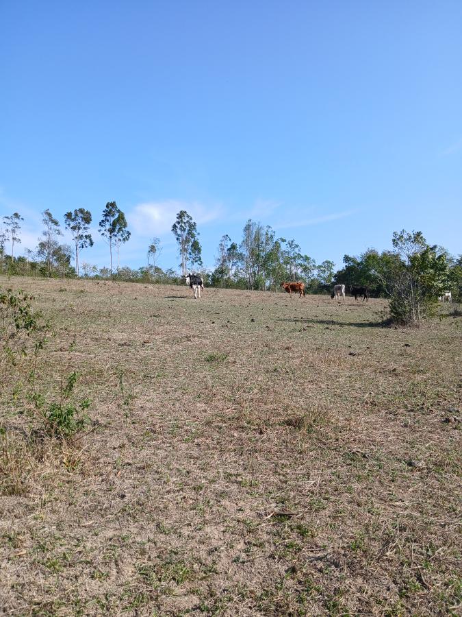 Fazenda à venda com 1 quarto, 96000m² - Foto 17