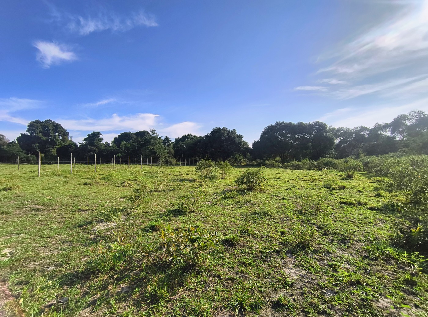 Terreno à venda, 2350m² - Foto 8