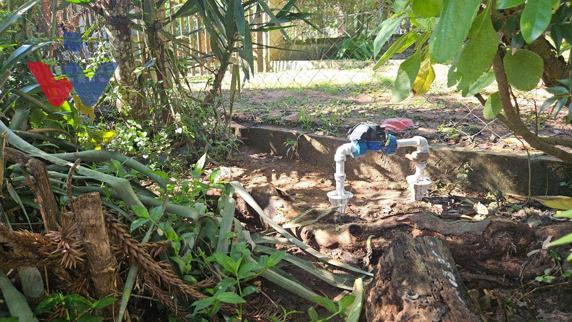 Chácara à venda com 4 quartos, 3700M2 - Foto 41