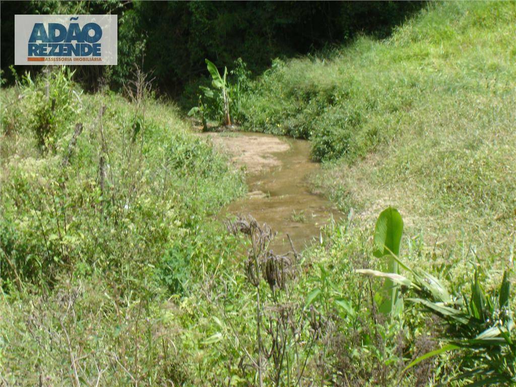 Fazenda à venda com 4 quartos, 1150000M2 - Foto 44