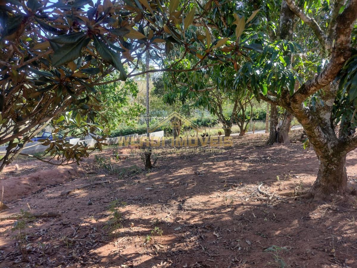 Fazenda à venda com 4 quartos, 4300m² - Foto 18