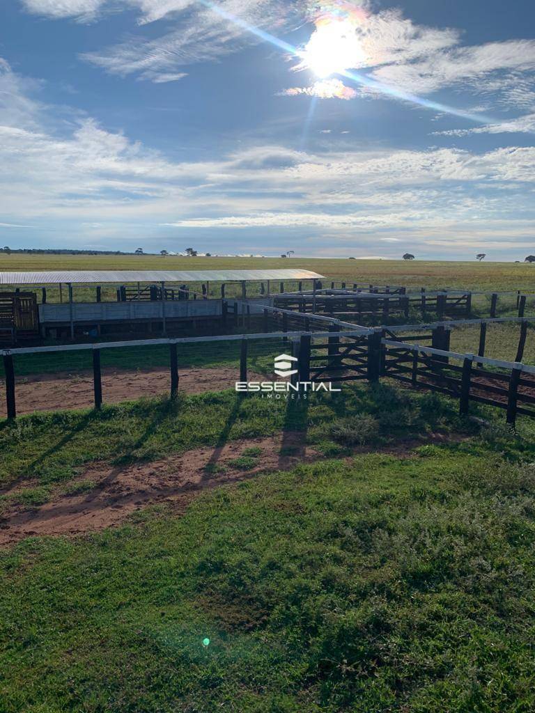 Fazenda, 2580 hectares - Foto 3