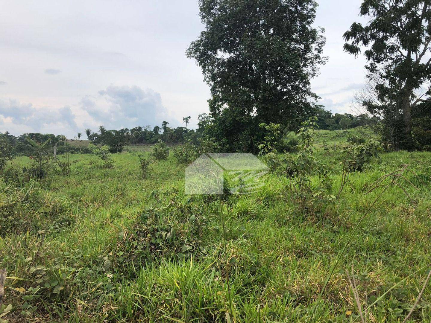 Chácara à venda com 1 quarto, 3024M2 - Foto 6