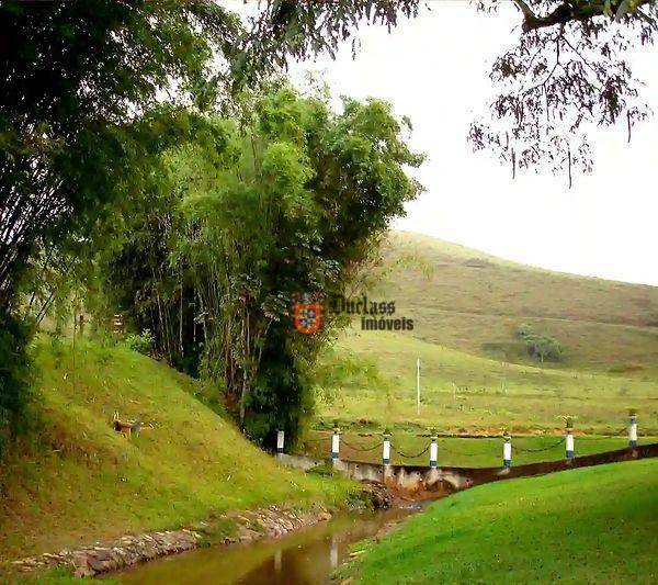 Fazenda à venda com 5 quartos, 1331000M2 - Foto 72