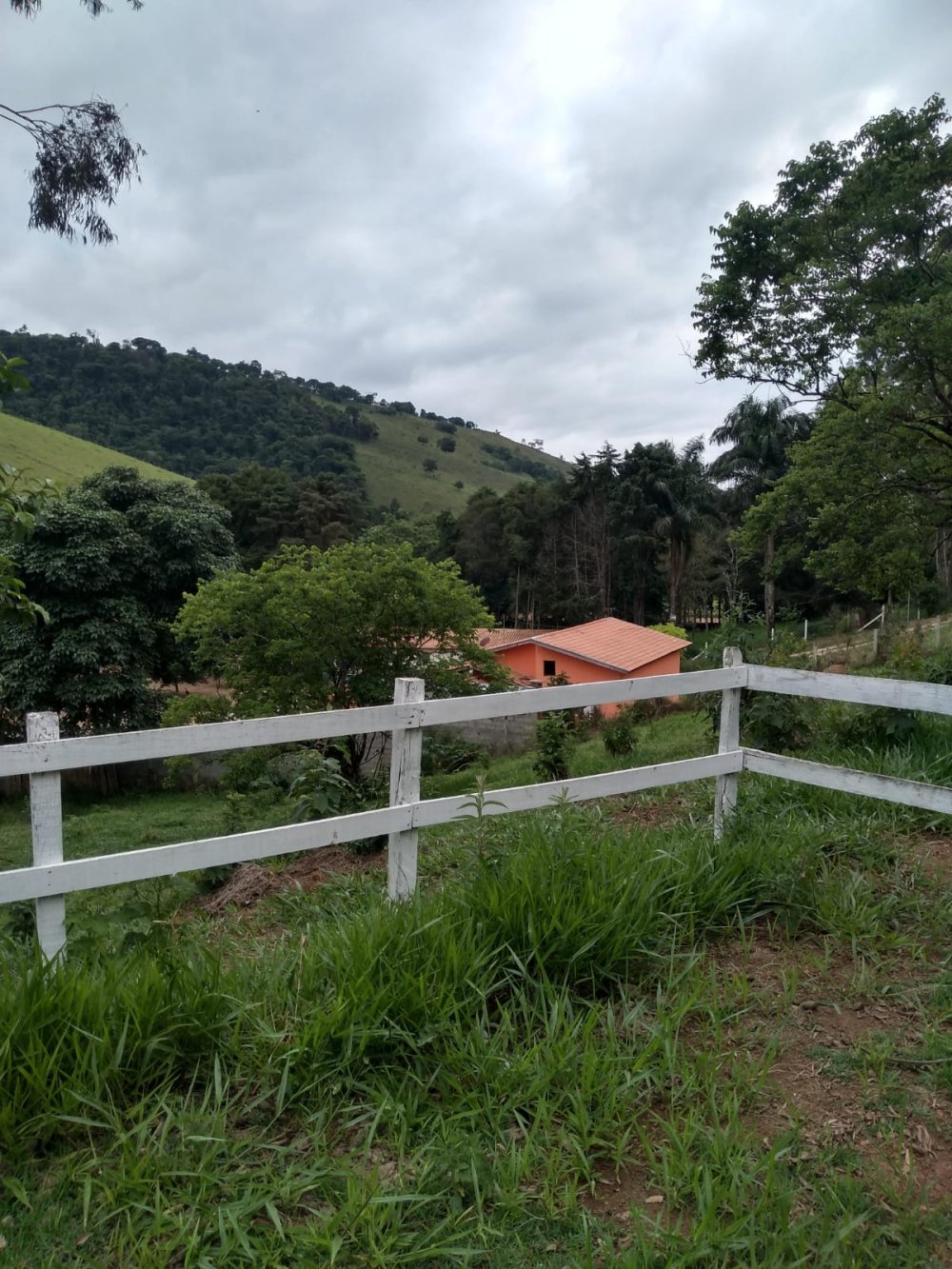 Sítio à venda com 3 quartos, 59m² - Foto 10