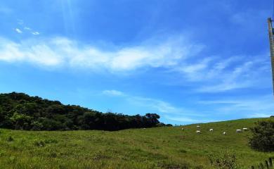 Fazenda à venda com 2 quartos, 210000m² - Foto 2