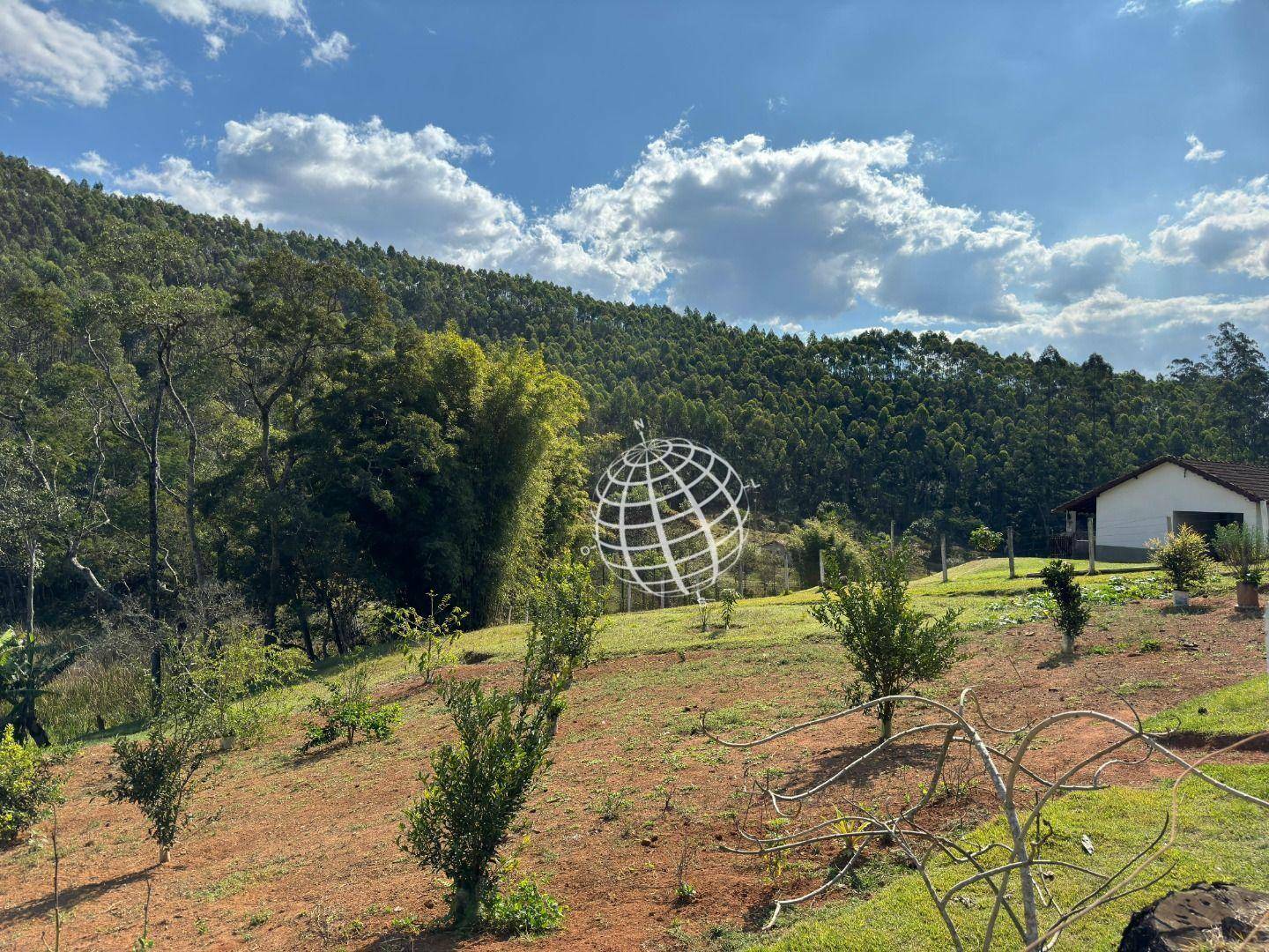 Chácara à venda e aluguel com 4 quartos, 700m² - Foto 31