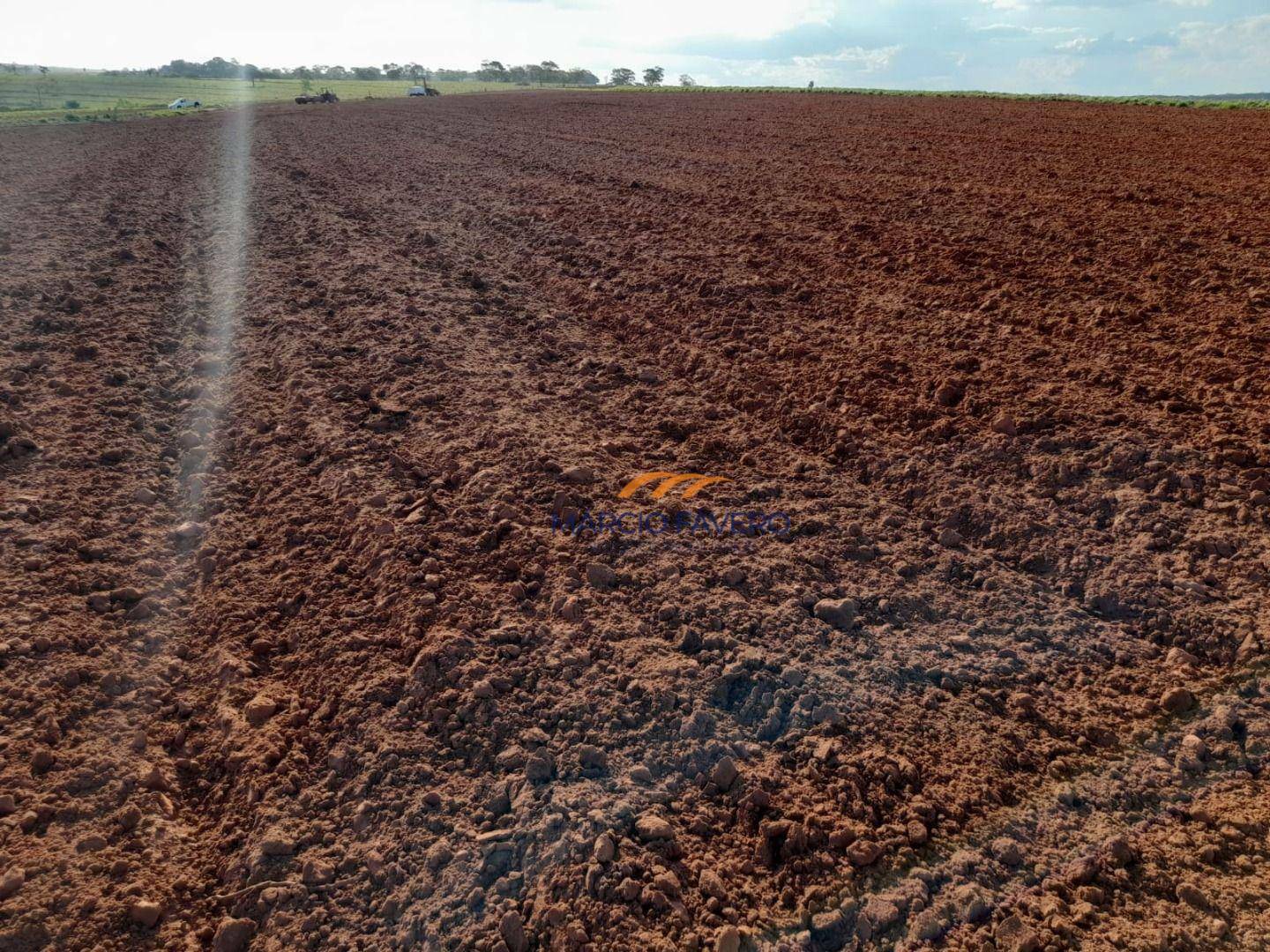 Fazenda à venda, 13527800M2 - Foto 9