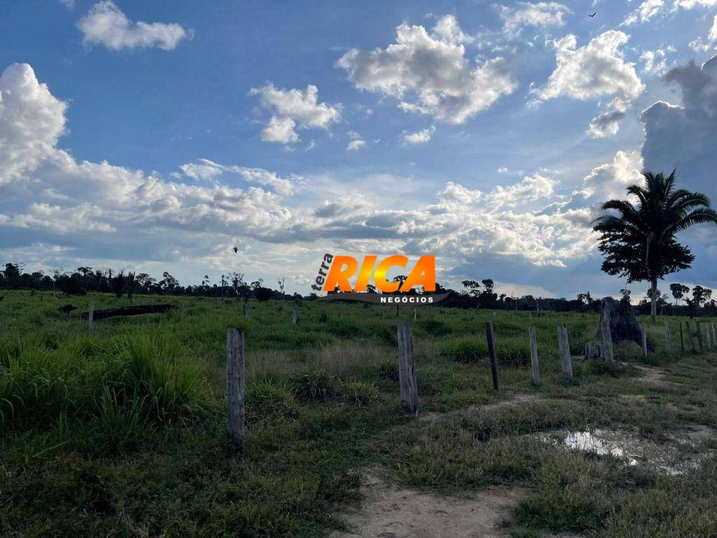 Sítio, 40 hectares - Foto 36