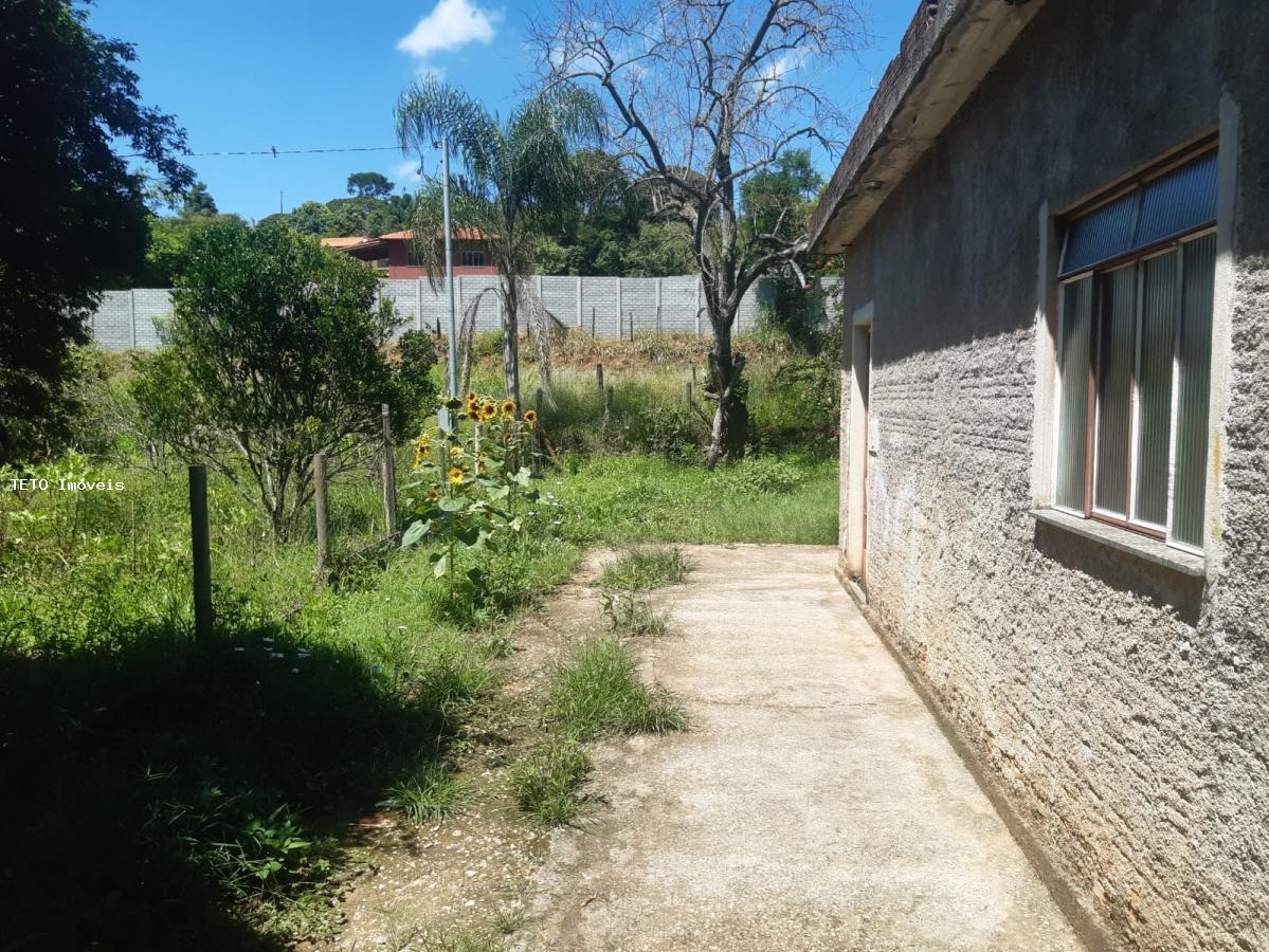 Fazenda à venda com 2 quartos, 4m² - Foto 41