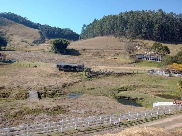 Fazenda à venda com 3 quartos, 1080000M2 - Foto 5