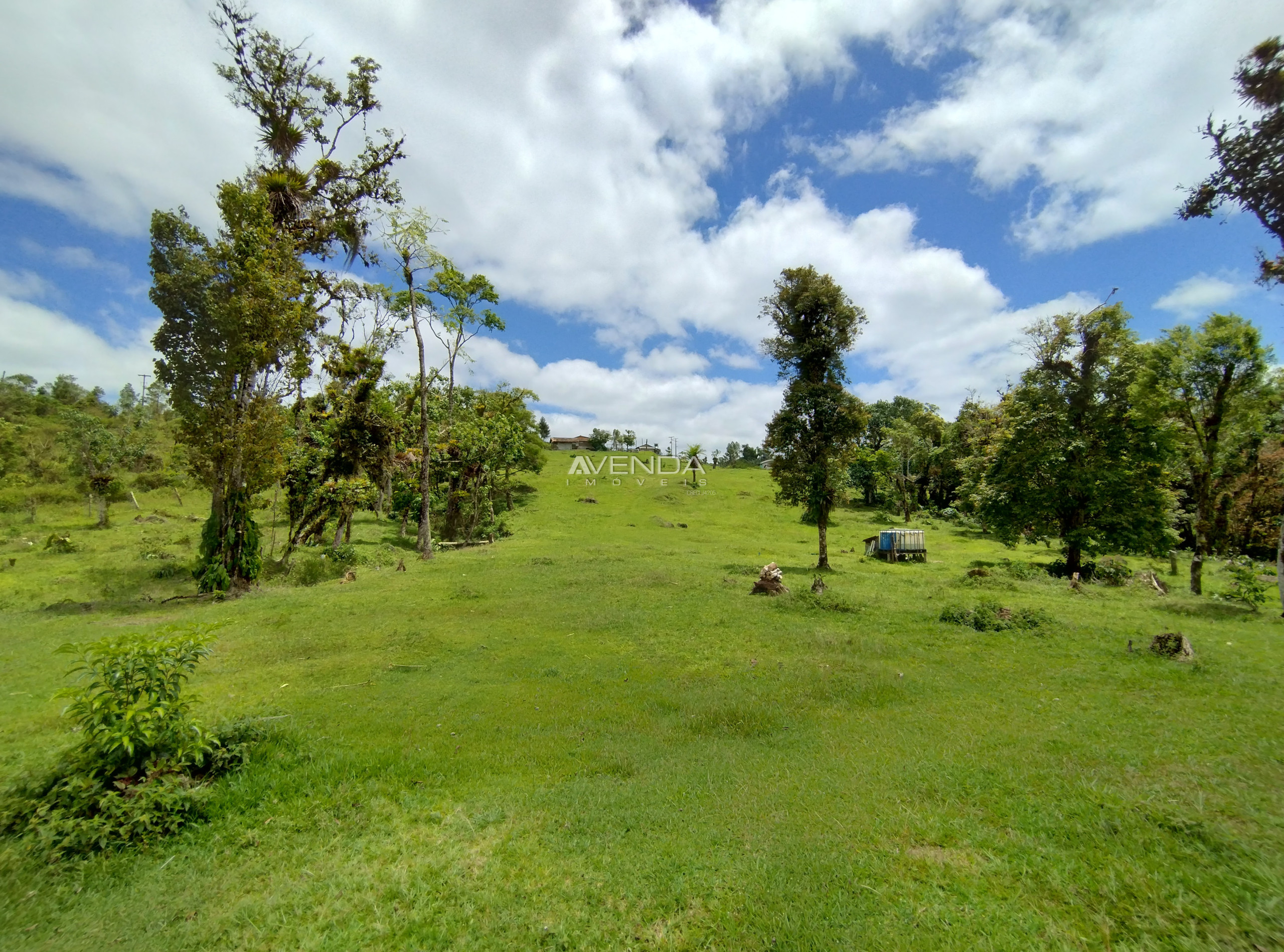 Fazenda à venda com 6 quartos, 208036m² - Foto 5