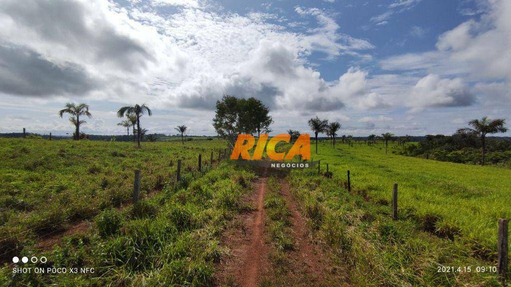 Fazenda à venda, 11200000M2 - Foto 21