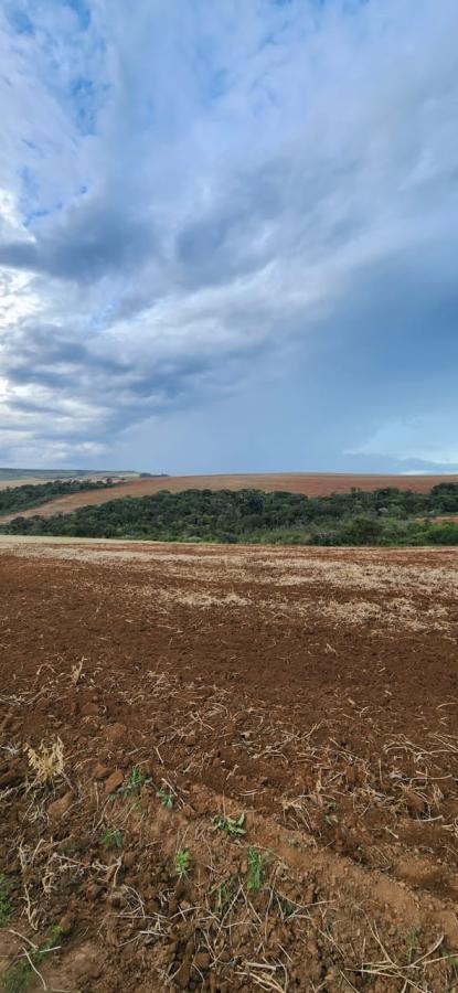 Fazenda à venda, 330m² - Foto 8