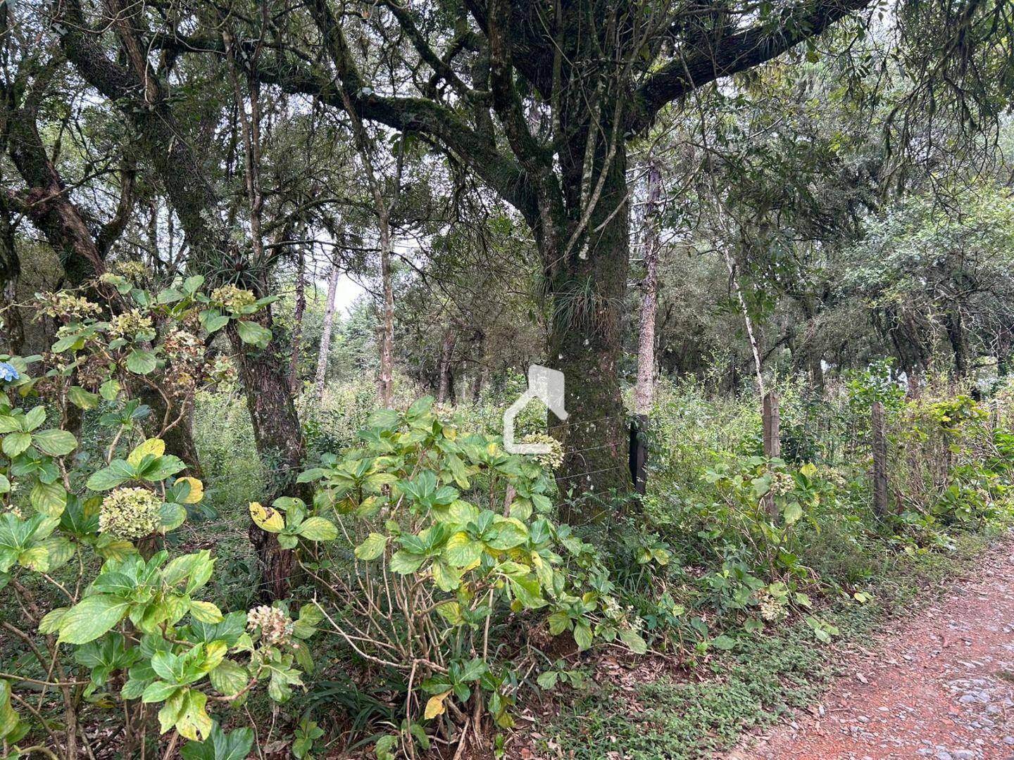 Terreno à venda, 3914M2 - Foto 10