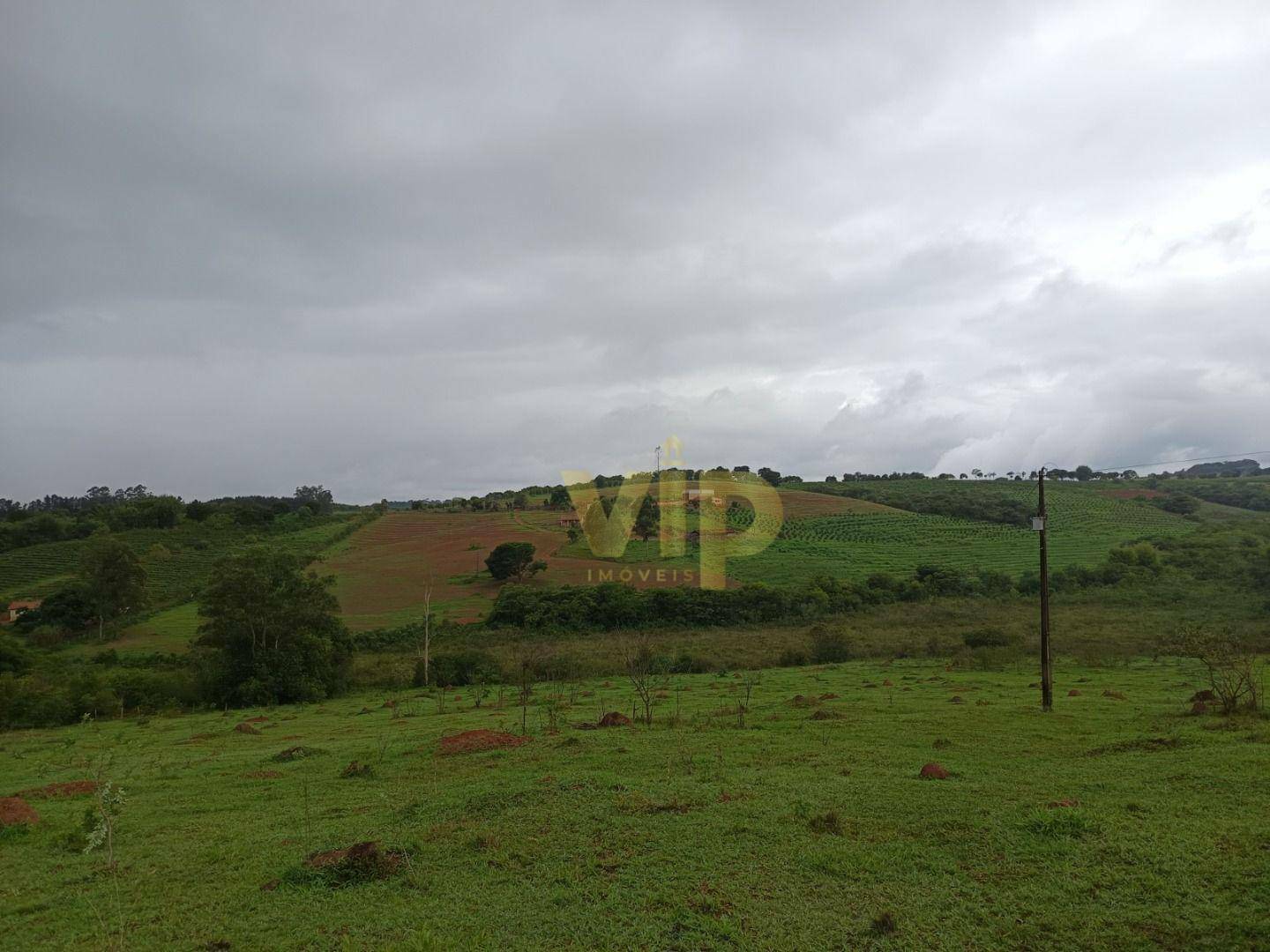 Terreno à venda, 145200M2 - Foto 1