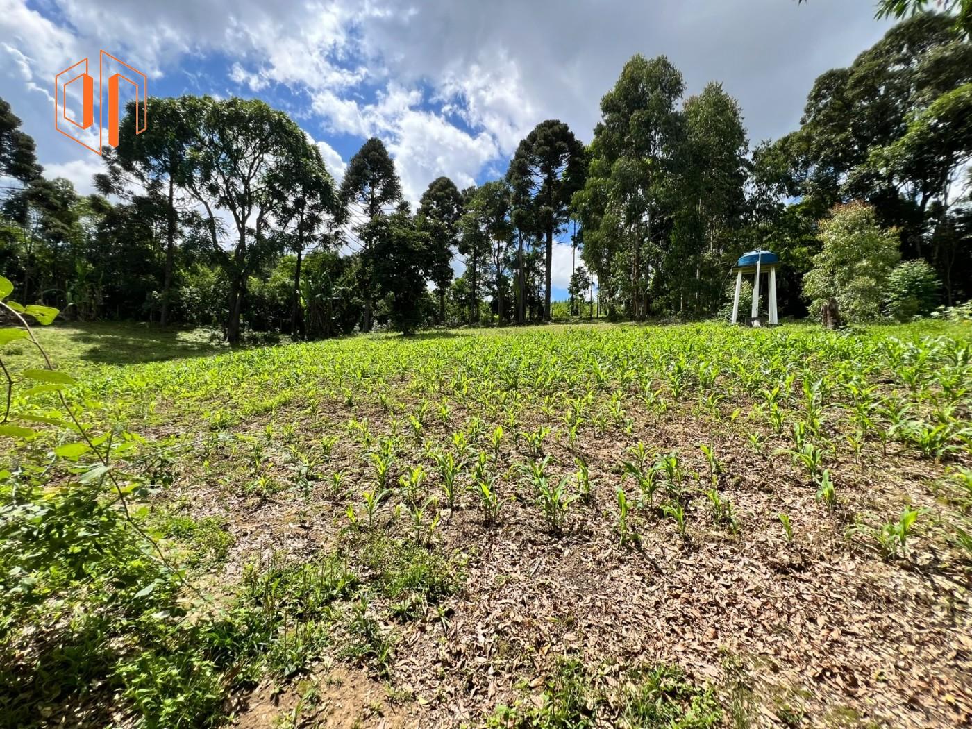 Chácara à venda, 39000m² - Foto 8
