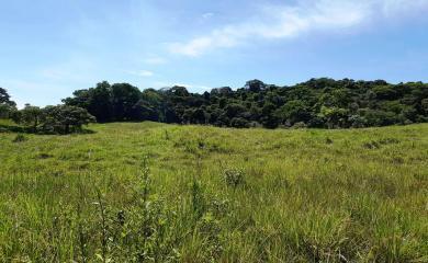 Sítio à venda com 2 quartos, 210000m² - Foto 14