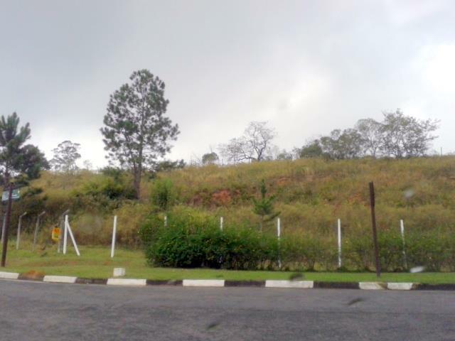 Terreno, 3 hectares - Foto 5