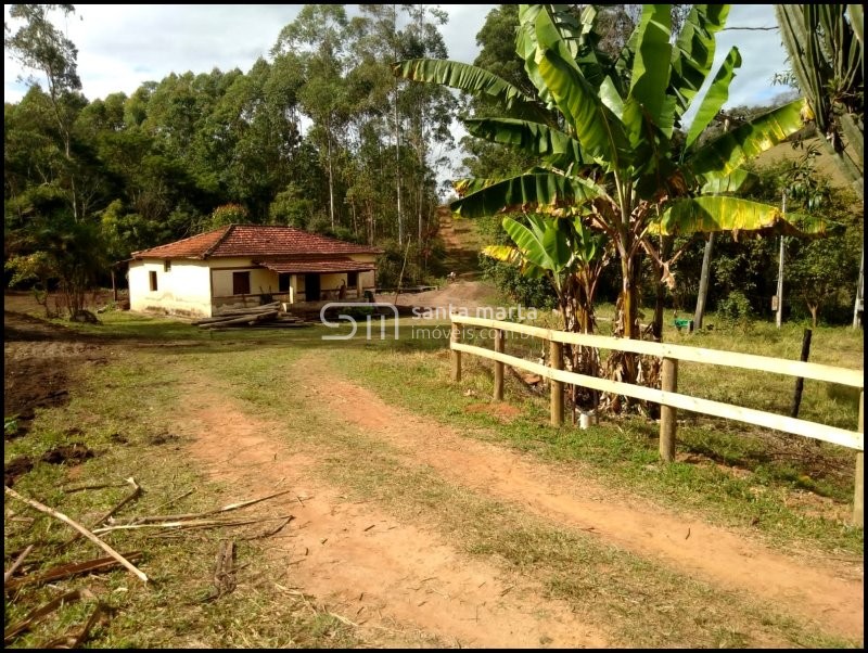 Fazenda-Sítio-Chácara, 5000 m² - Foto 3