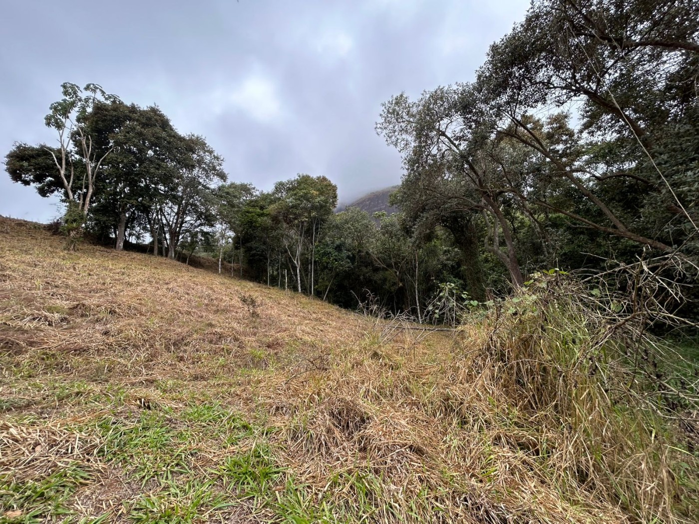 Terreno à venda, 178000m² - Foto 12