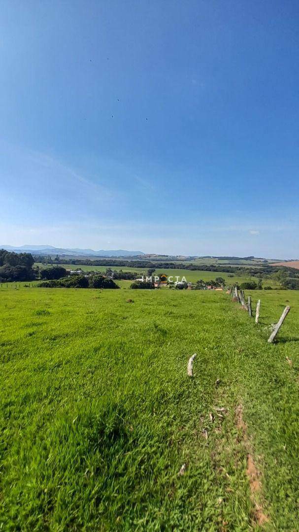 Terreno à venda, 10000M2 - Foto 4