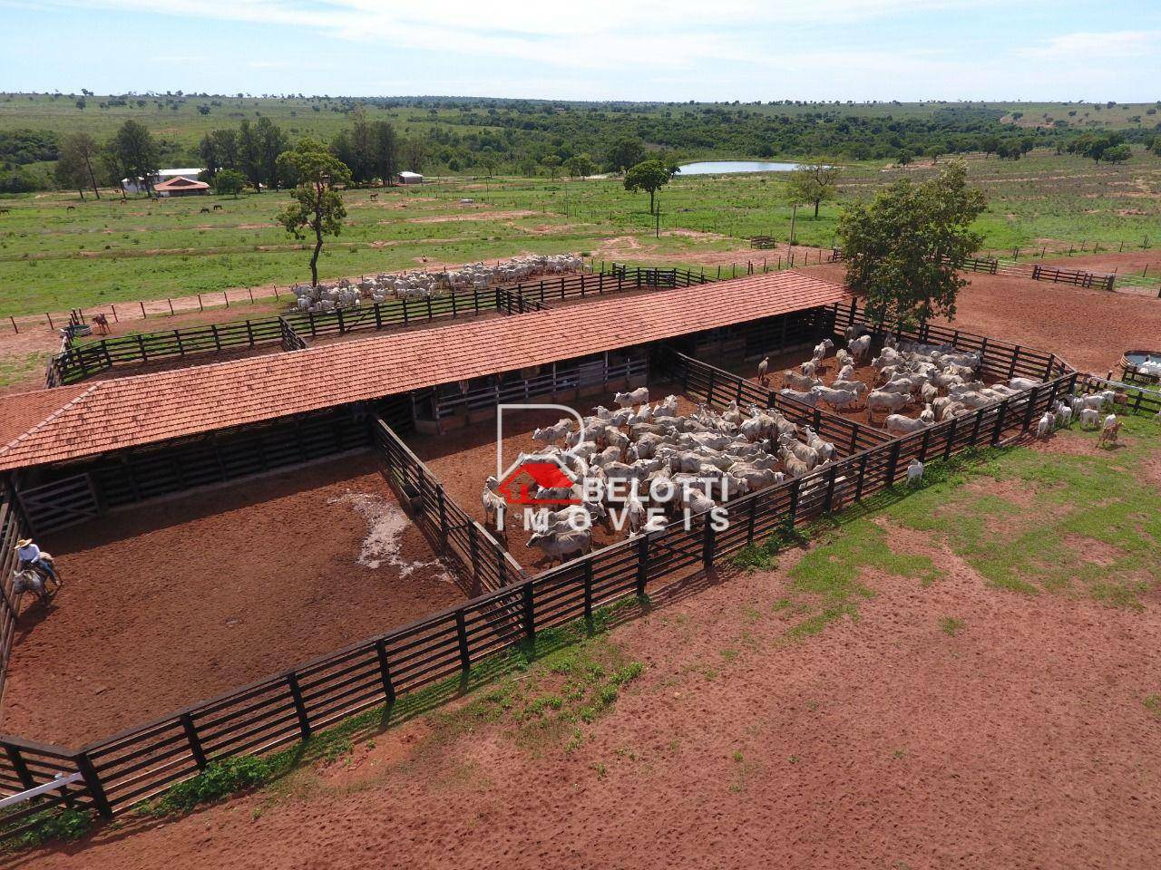 Fazenda à venda, 26741000M2 - Foto 16