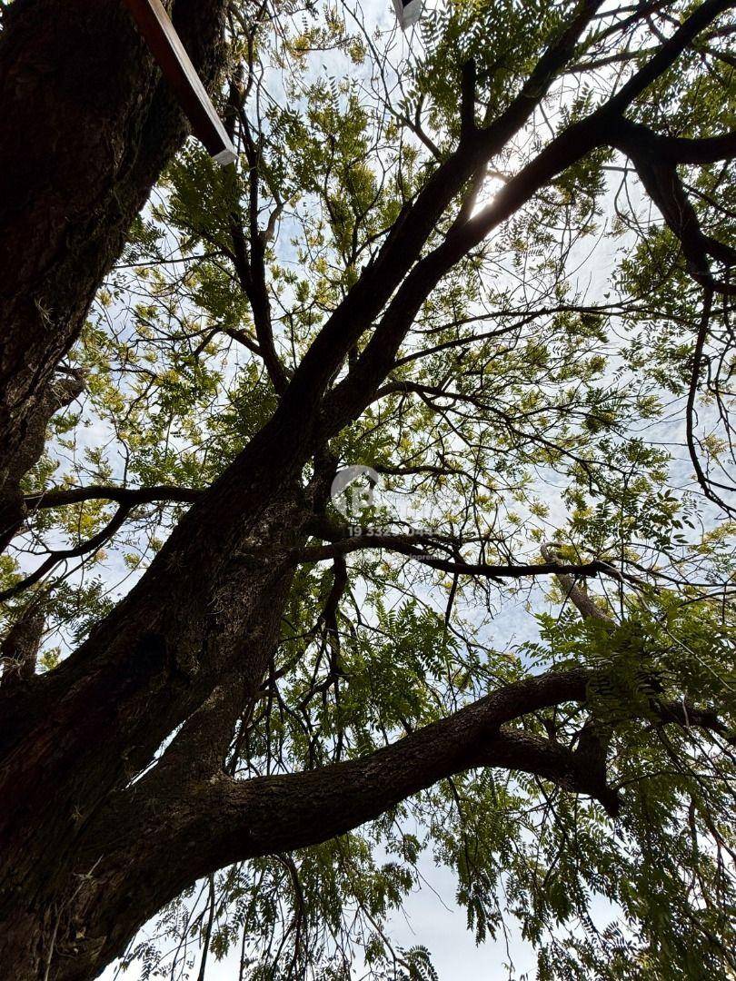 Chácara, 3 quartos, 5000 m² - Foto 38