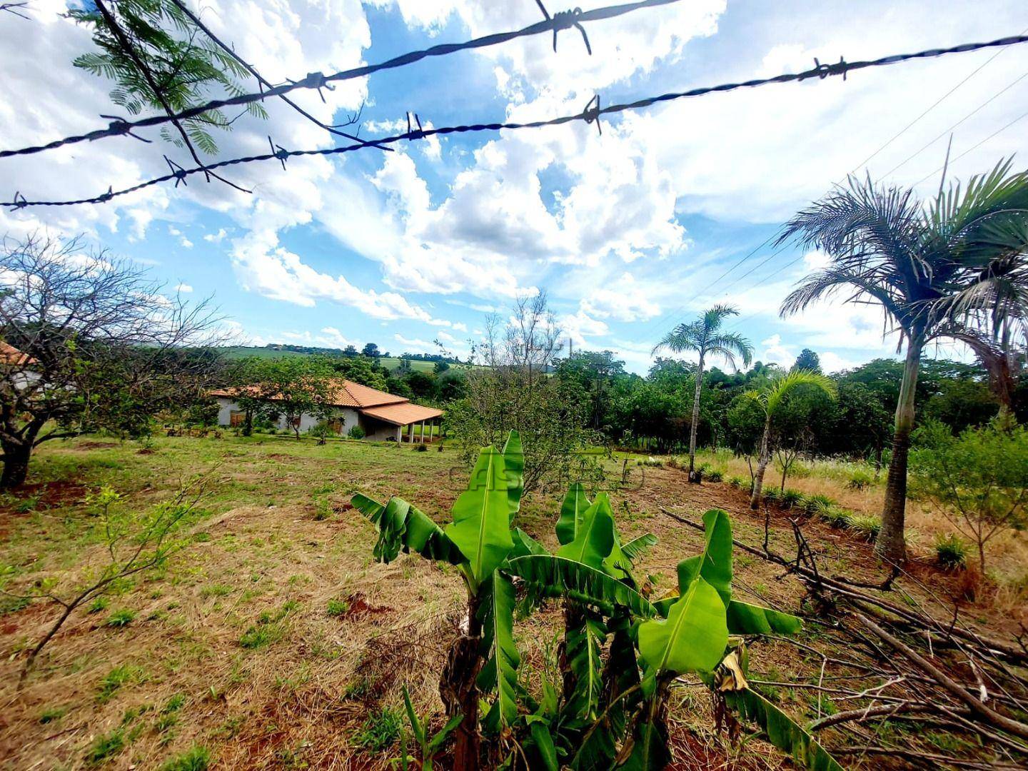 Chácara, 2 quartos, 67 hectares - Foto 2