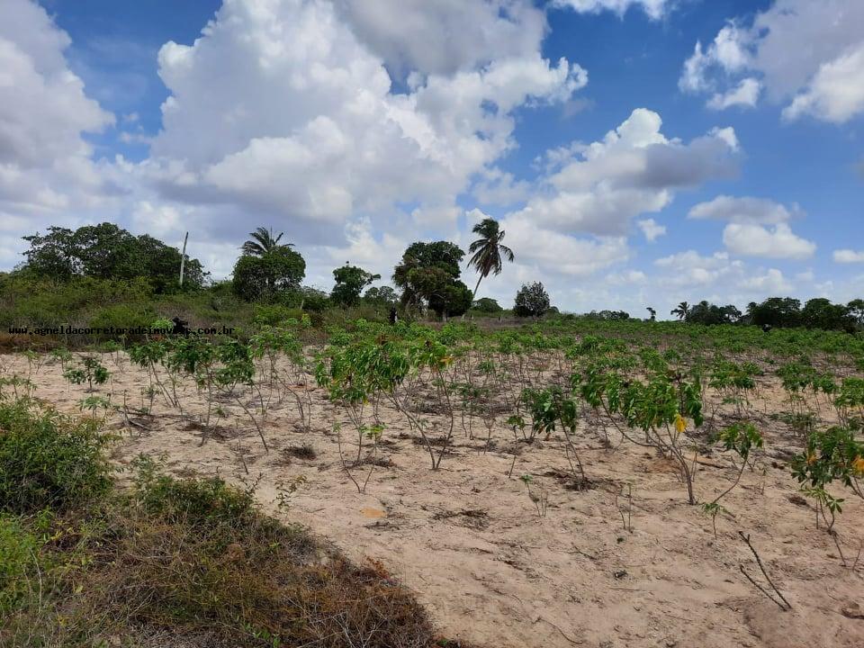 Fazenda à venda com 2 quartos, 14m² - Foto 20