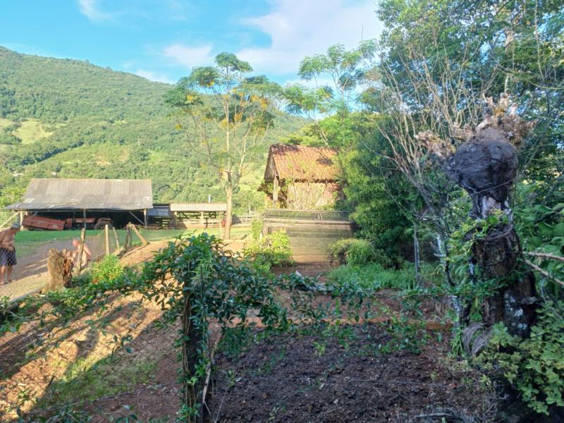 Sítio à venda com 1 quarto, 150m² - Foto 54